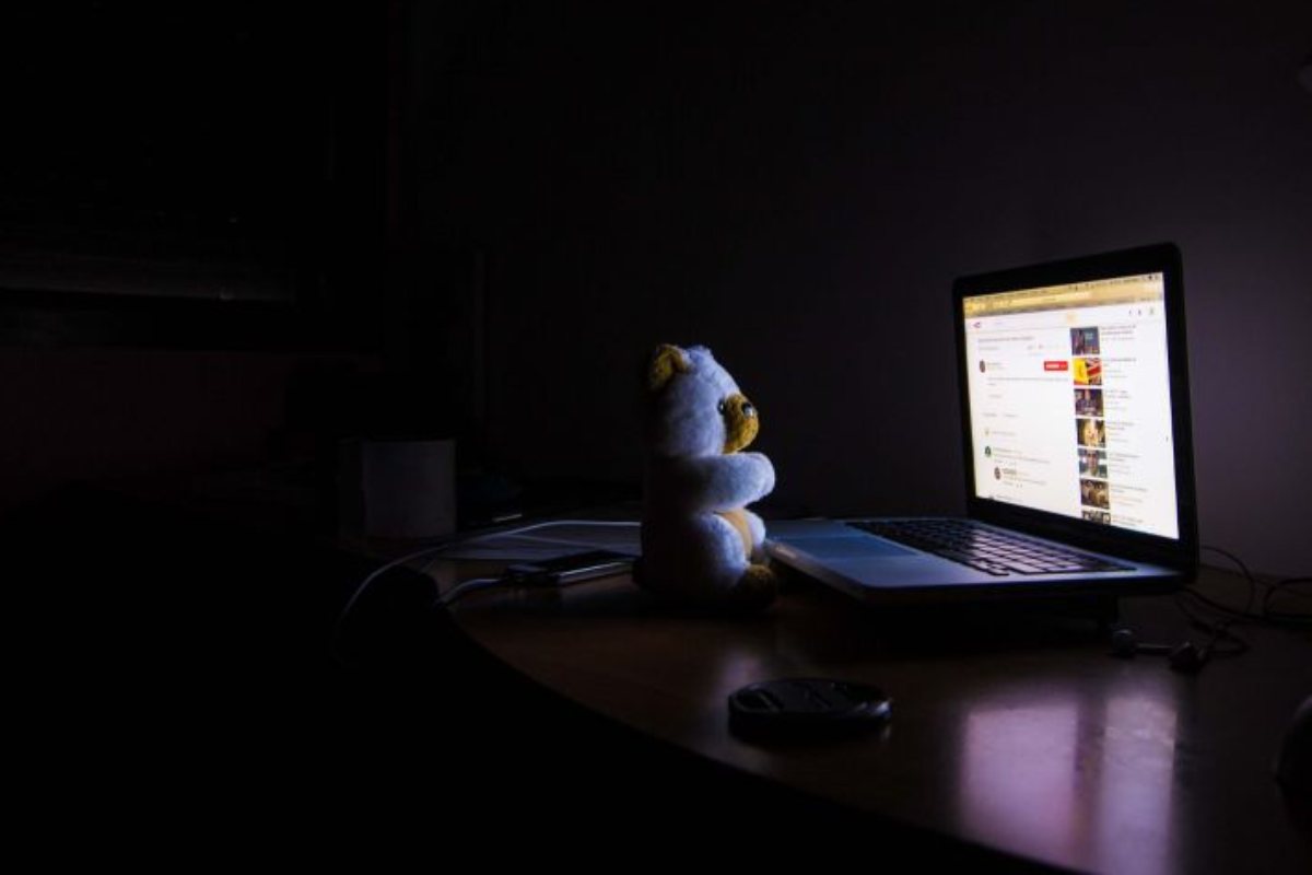 Orsetto davanti al pc 